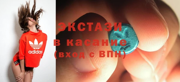 ECSTASY Богородицк