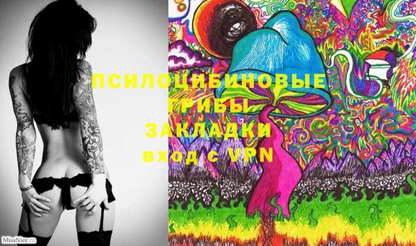 ECSTASY Богородицк