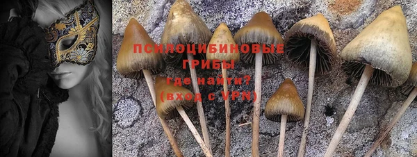ECSTASY Богородицк