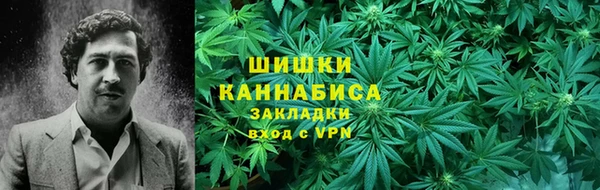 ECSTASY Богородицк