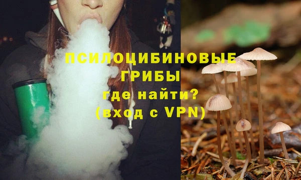 ECSTASY Богородицк