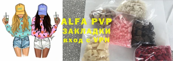 ECSTASY Богородицк
